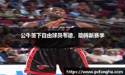 公牛签下自由球员韦德，助阵新赛季