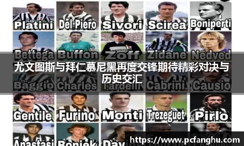 qy球友会体育网站